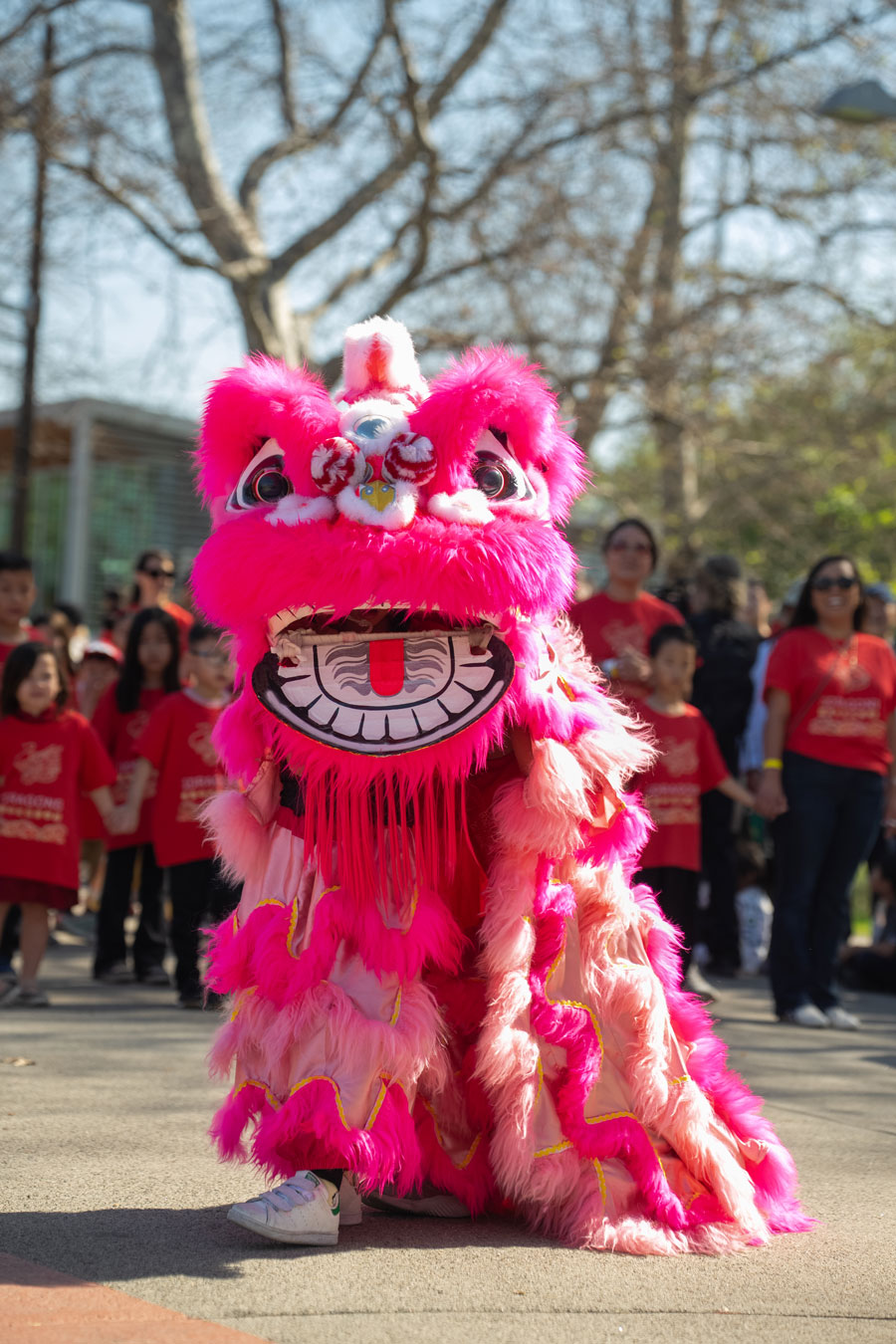 2026 Lunar New Year Parade and Festival